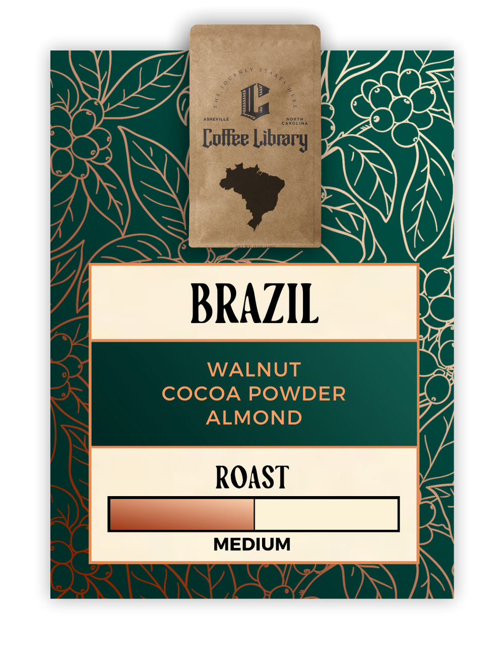 Coffee Library, Single Origin Coffee, Brazilian Coffee, Walnut, Milk Chocolate, Fudgy, Medium Roast, Natural Process, Mundo Novo Varietal, Coffee Library Specialty, Asheville Coffee Roaster