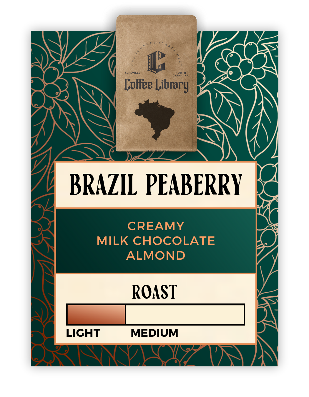 Coffee Library Single Origin Coffee, Brazil Peaberry, Tasting Notes of Milk Chocolate, Almond, Medium Roast