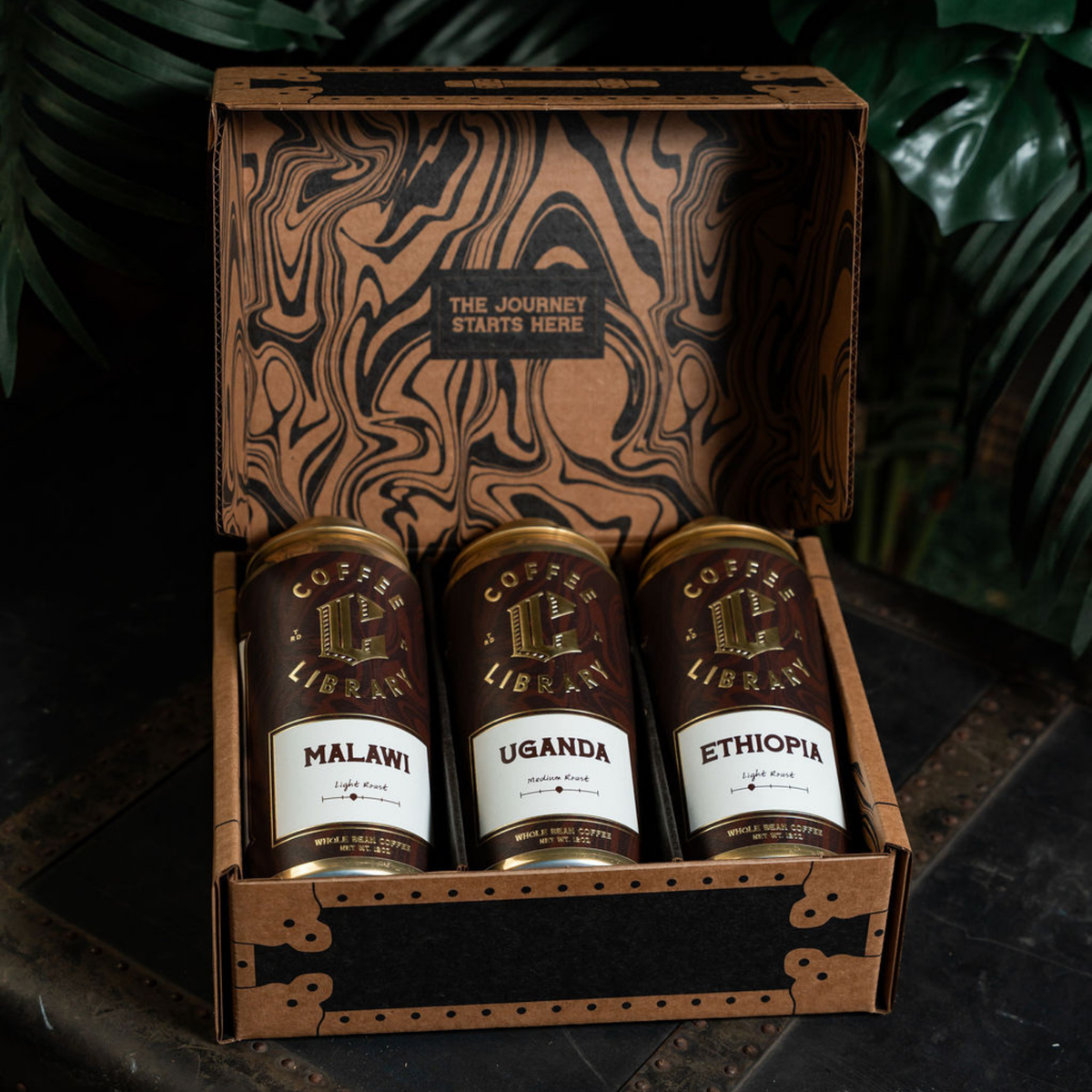 UNTAMED (Single Origin 3-Pack)